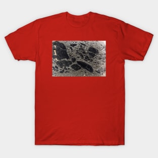 Natural Granite Texture Surface T-Shirt